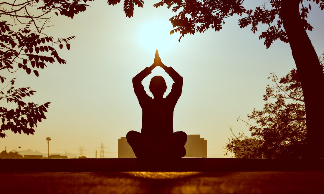 The Perfect Harmony: Combining Ayurveda and Yoga for Optimal Physical and Mental Well-being